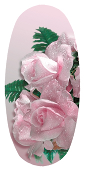 DASOV 063 Bouquet Of Roses Orchid